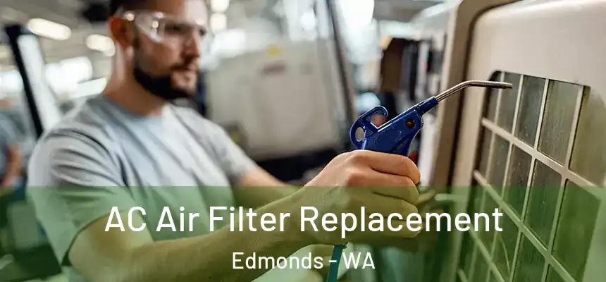  AC Air Filter Replacement Edmonds - WA