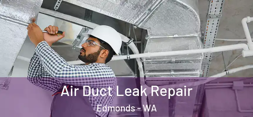  Air Duct Leak Repair Edmonds - WA