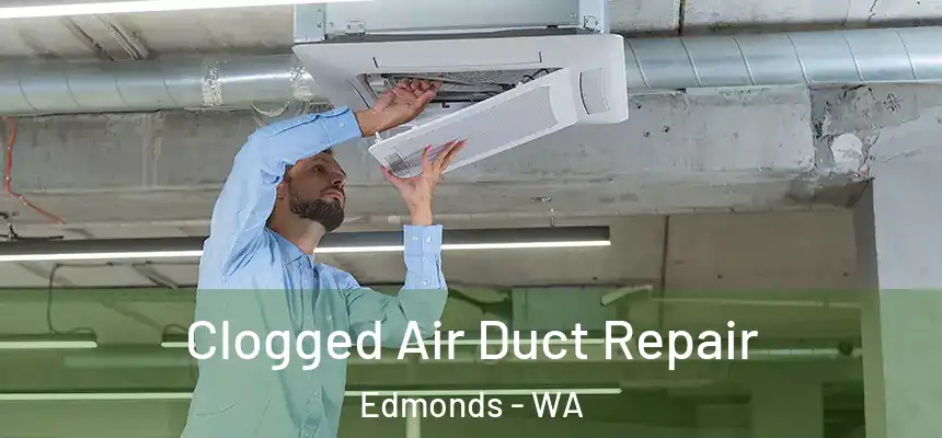  Clogged Air Duct Repair Edmonds - WA