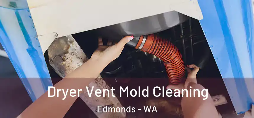  Dryer Vent Mold Cleaning Edmonds - WA