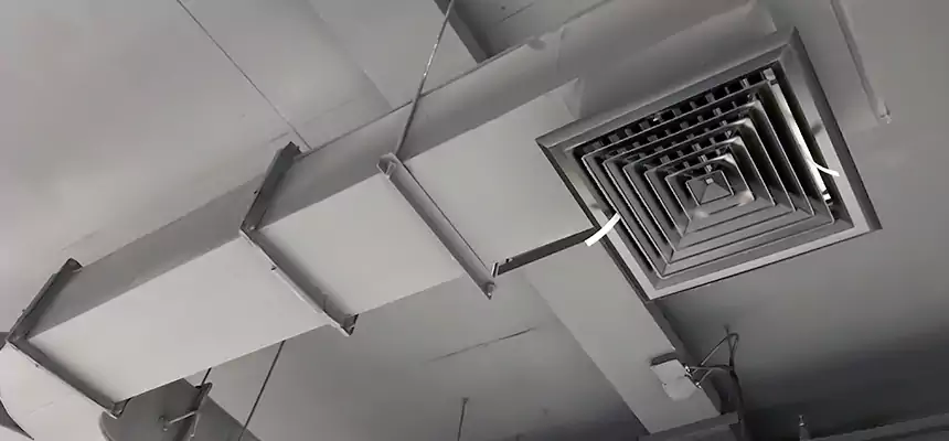 Restorative Allergy Relief Vent Cleaning – Coil, Blower & Housing Detail in Edmonds