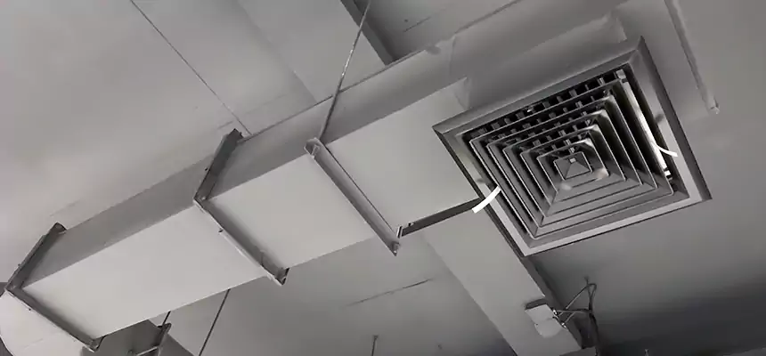 Our Pest Removal From Ducts Services in Edmonds, WA