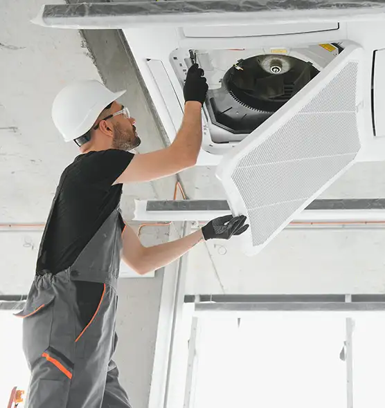 About Air Duct Rodent Removal in Edmonds, WA