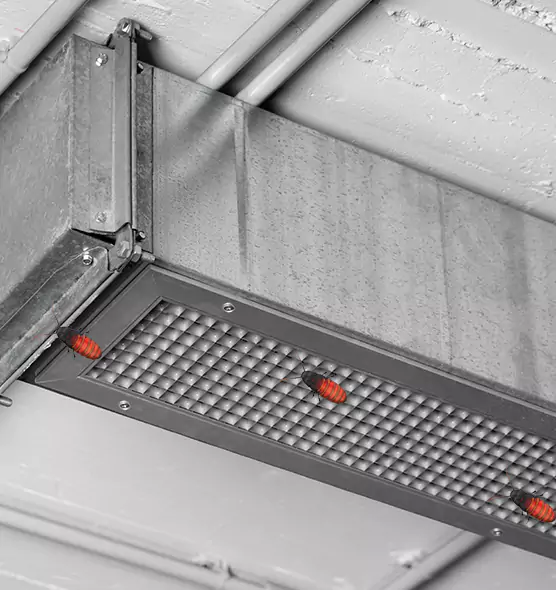 Affordable Insect Removal from Air Ducts in Edmonds, WA