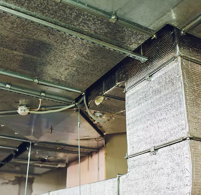 Why Homeowners & Businesses Trust Us in Edmonds, WA?